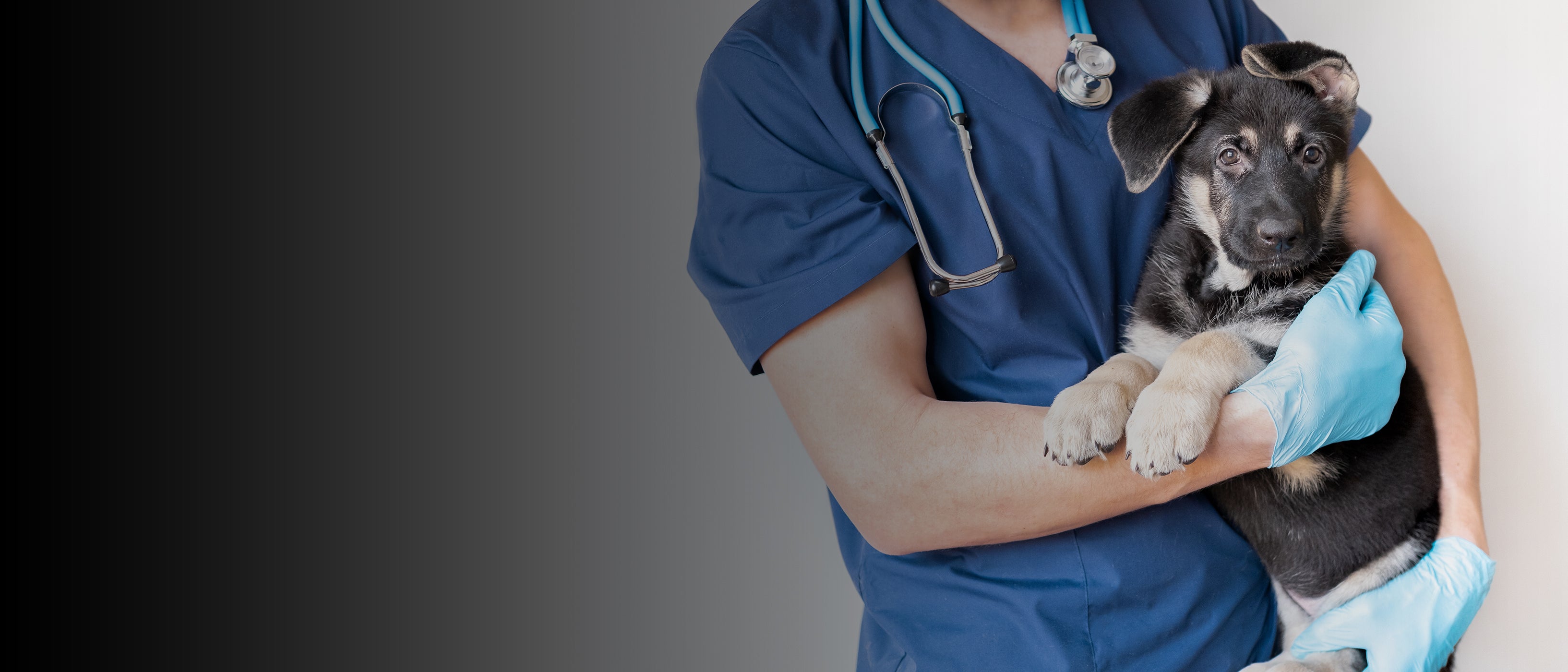 Veterinary Grade Nitrile Gloves